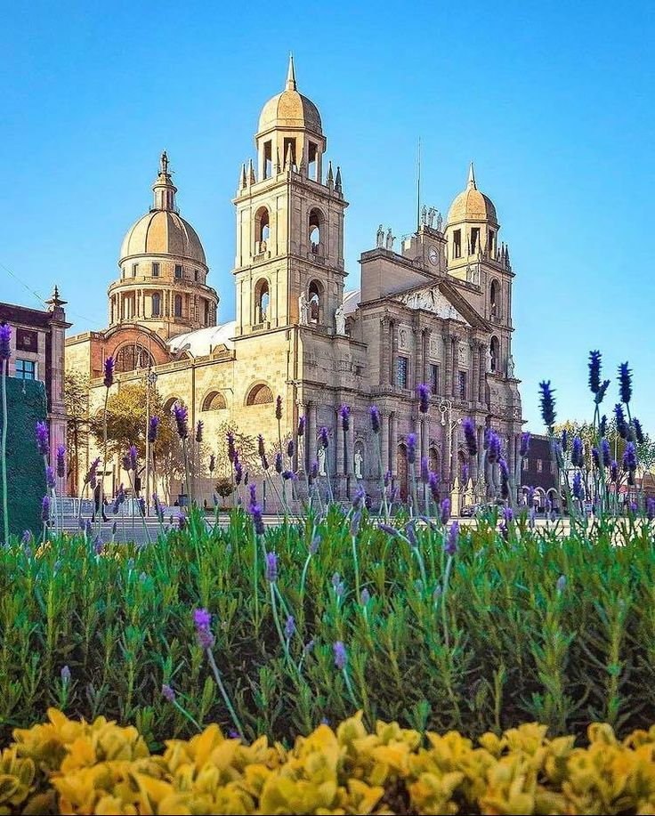 Catedral de Toluca